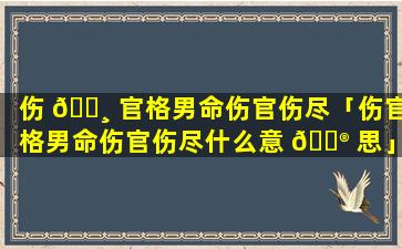 伤 🕸 官格男命伤官伤尽「伤官格男命伤官伤尽什么意 💮 思」